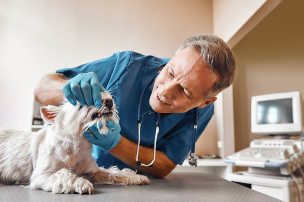 Best Same-Day Emergency Appointments in Beach, ND